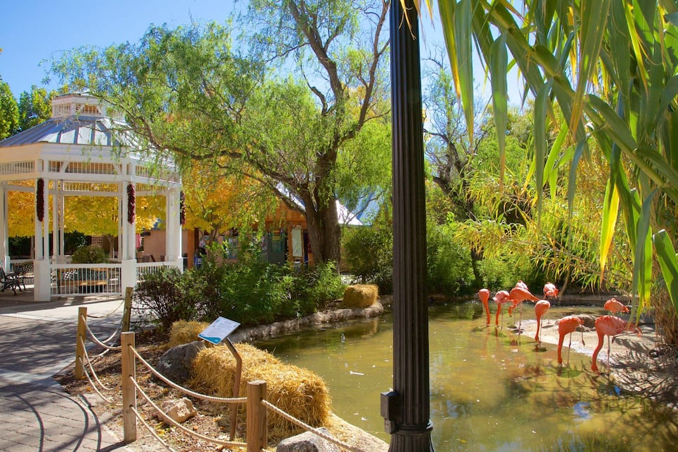 A gazebo, a pond with flamingos, and autumn trees.