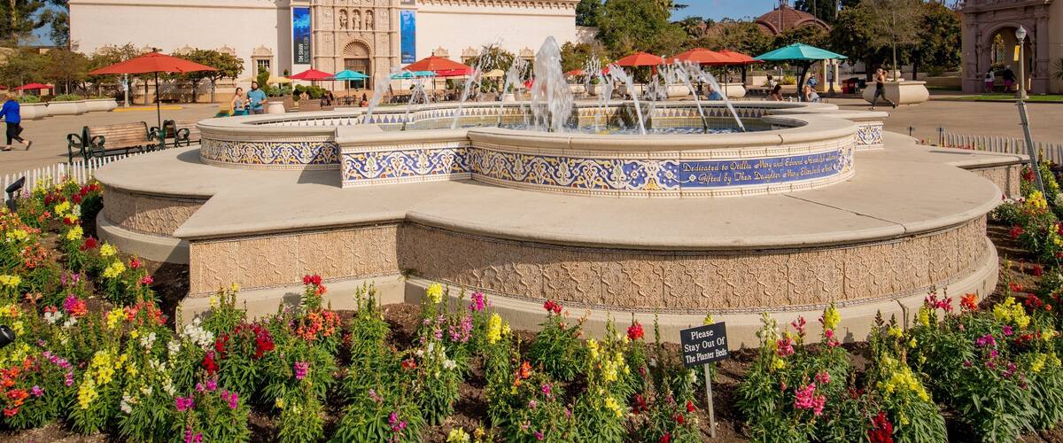 San Diego Museum of Art featuring flowers and a fountain