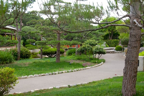 Japanese Garden which includes a garden