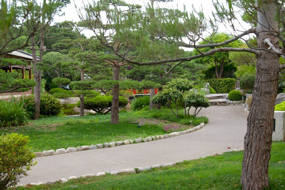 A landscaped garden with a curved pathway, various trees, and a small pond.
