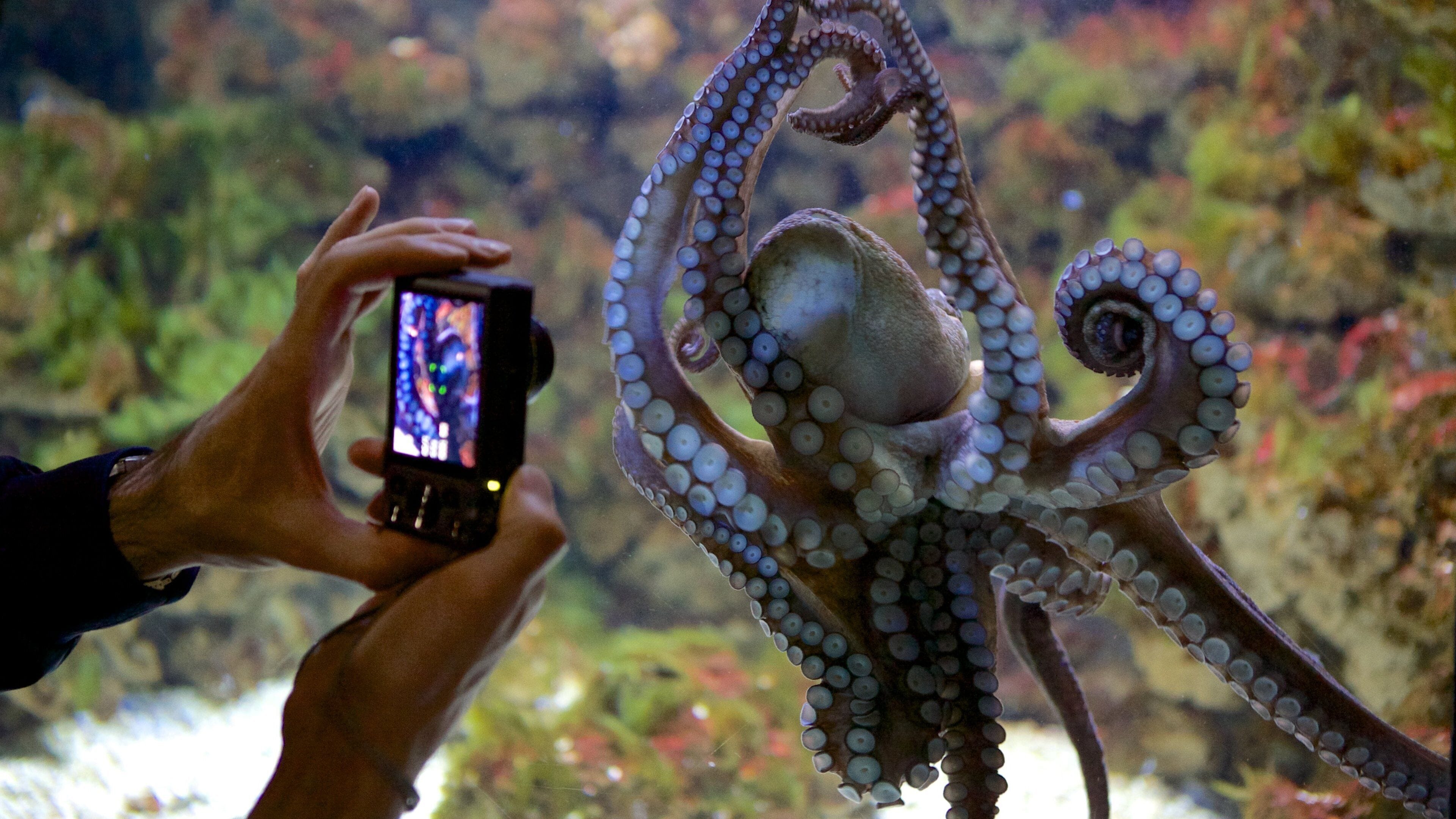 Sea Museum featuring marine life