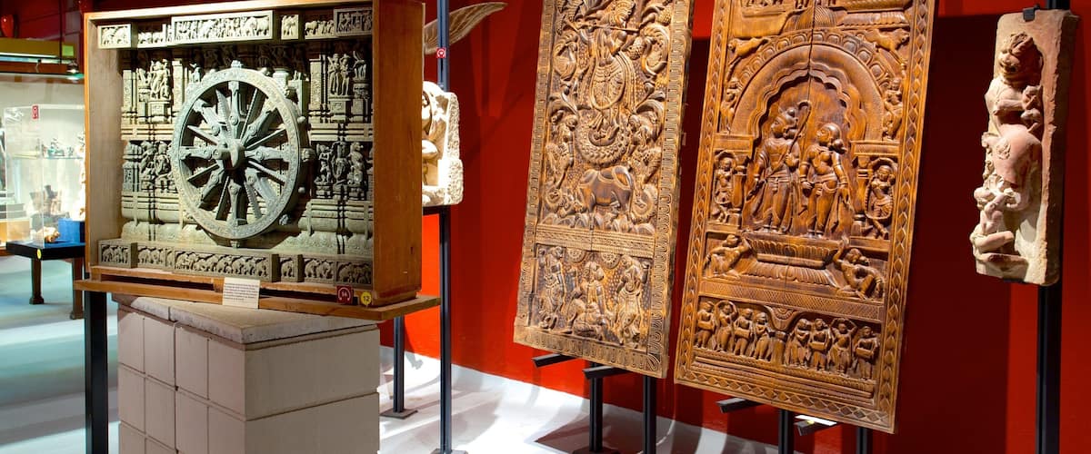 Asiatica Museum of Asian Art showing art