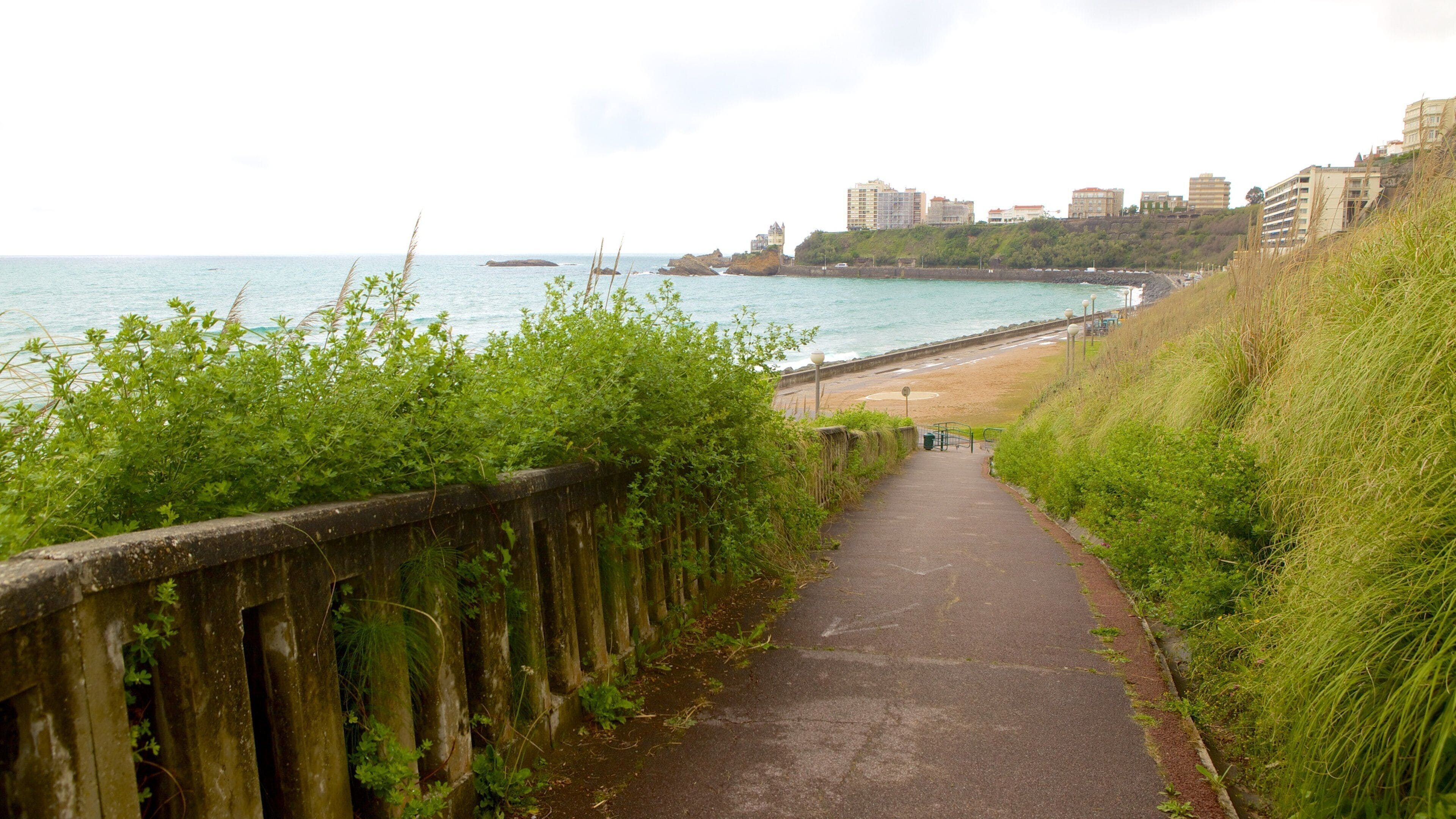 Cote des Basques showing general coastal views