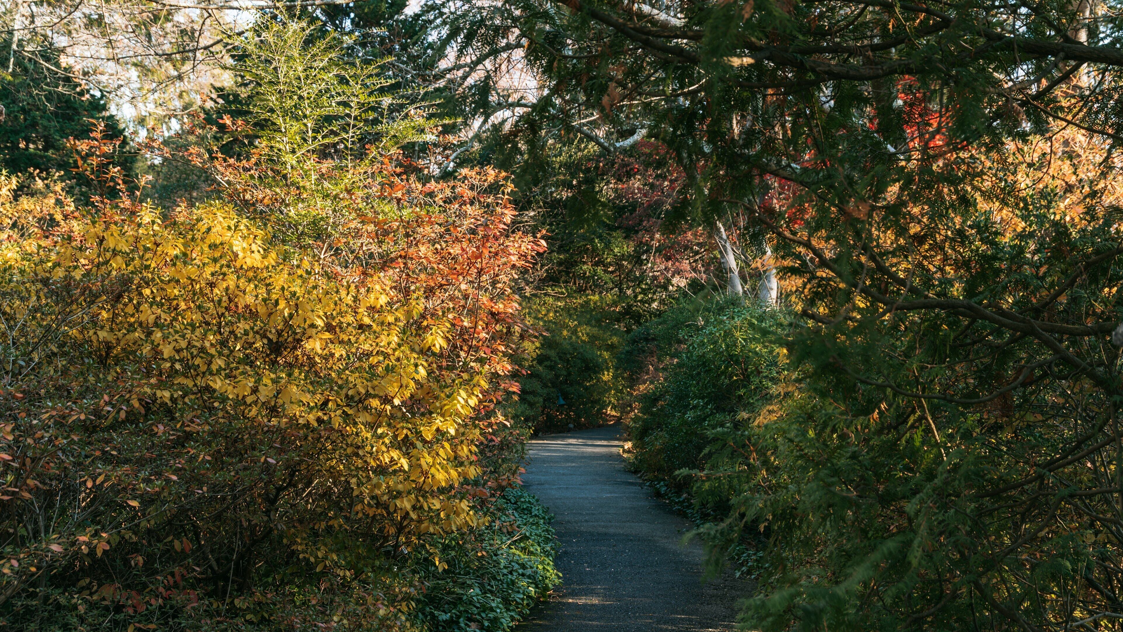 Hillwood Estate, Museum & Gardens showing a park