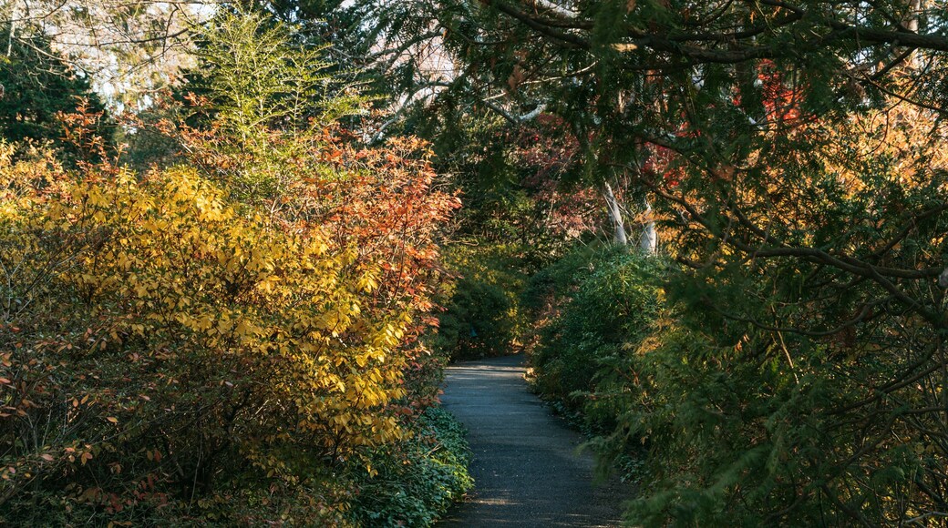 Hillwood Estate, Museum & Gardens showing a park