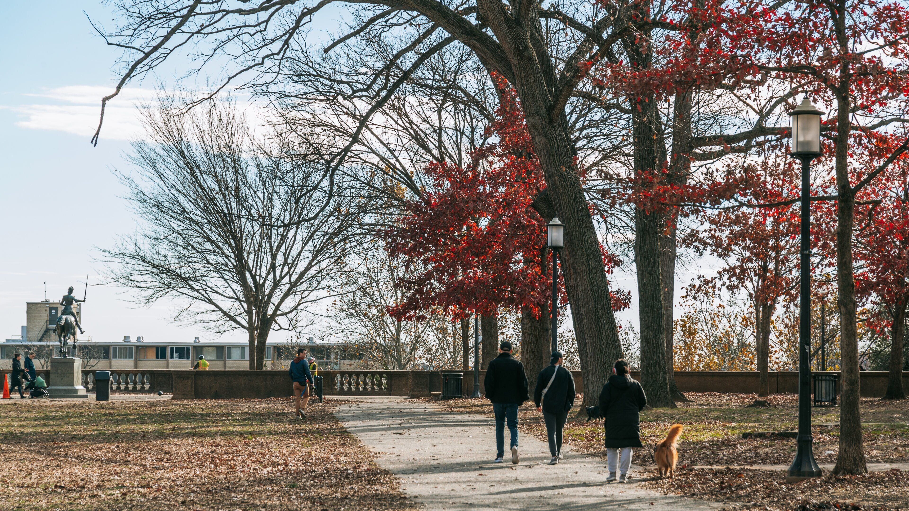 Meridian Hill Park which includes autumn leaves and a park