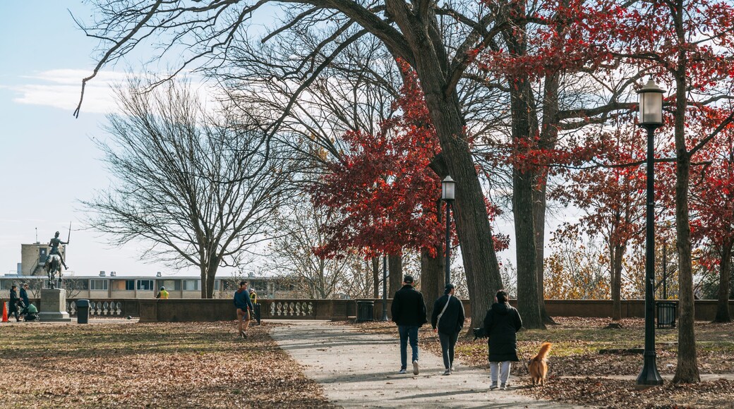 Meridian Hill Park which includes autumn leaves and a park