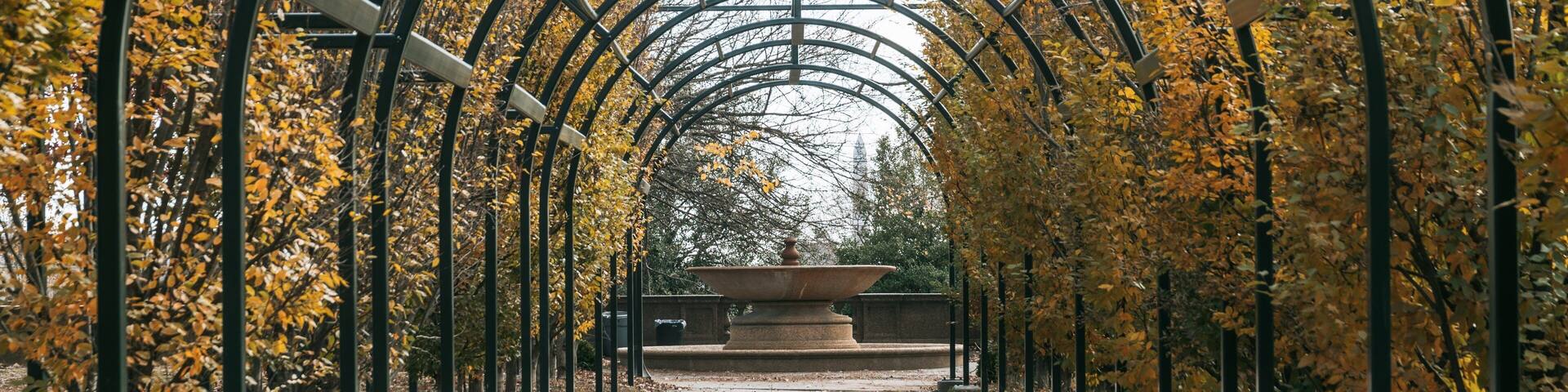 Meridian Hill Park which includes a park and autumn leaves