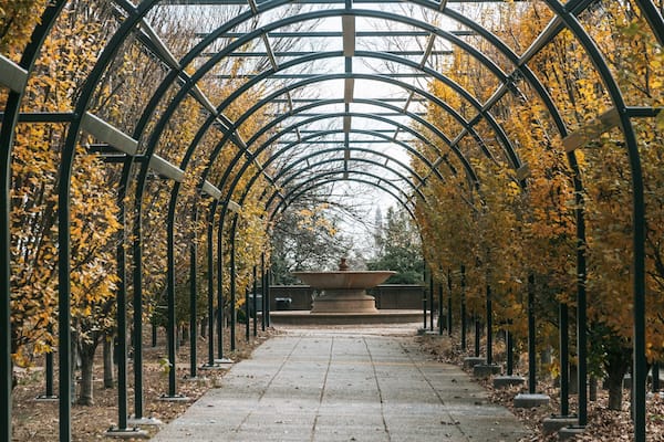 Meridian Hill Park which includes a park and autumn leaves