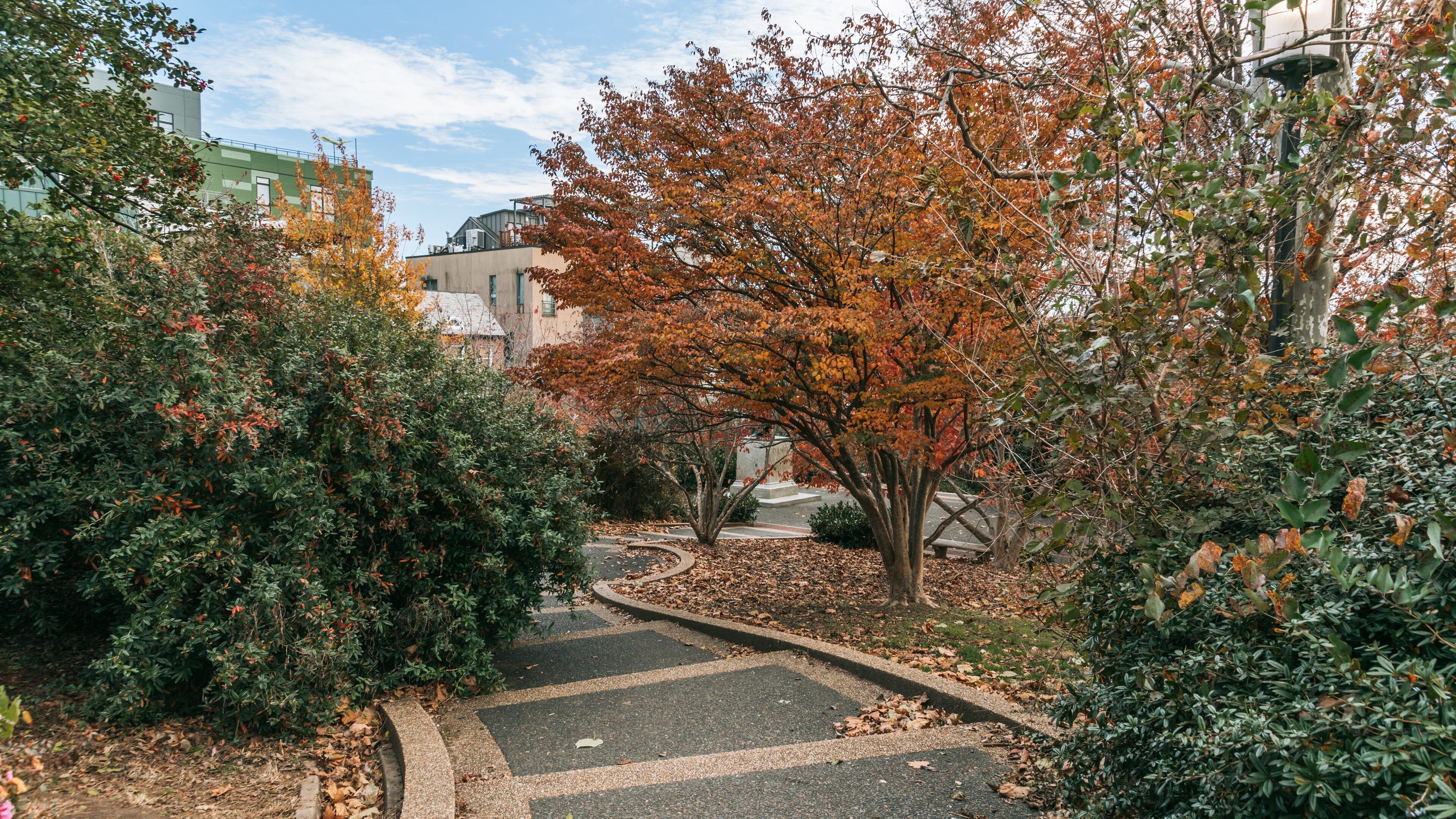 Meridian Hill Park featuring a garden and autumn leaves