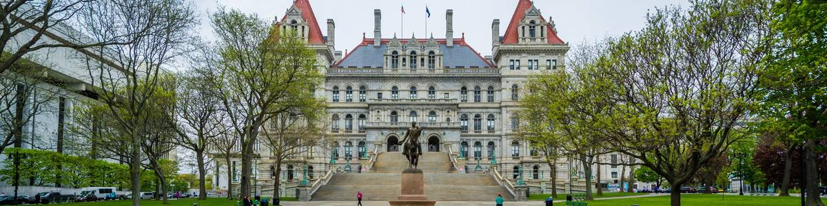 Tulips and The New York State Capitol, in Albany, New York.