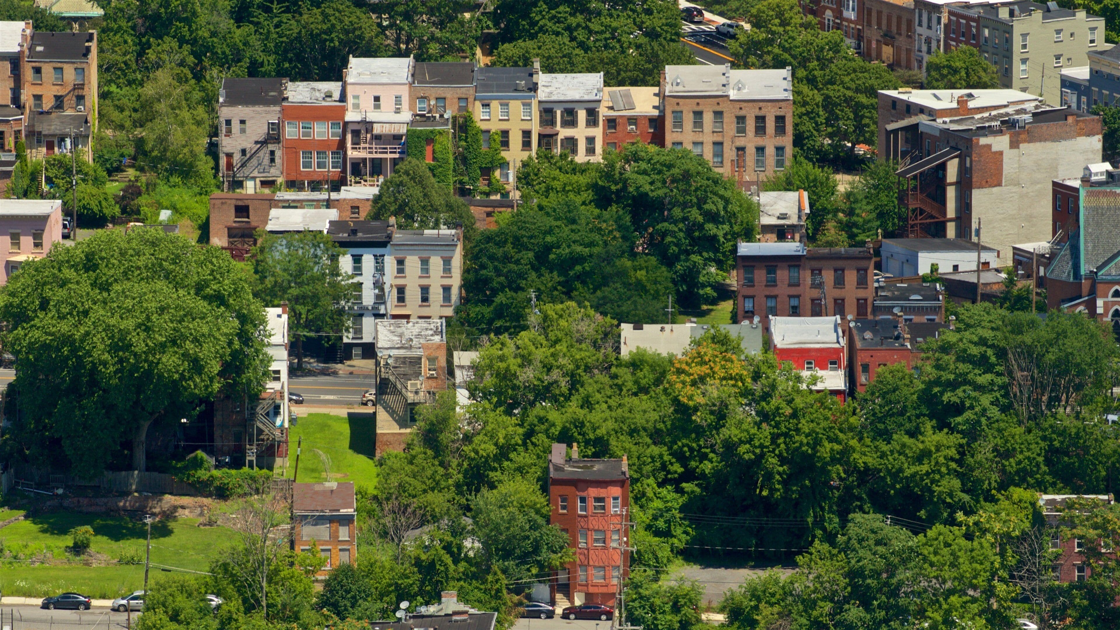 Corning Tower showing landscape views and a city
