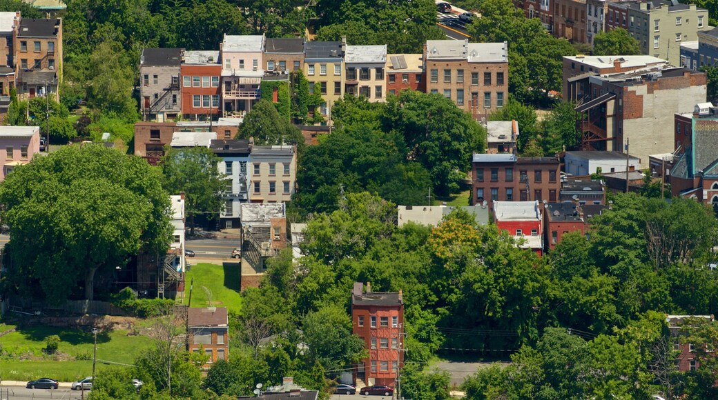 Corning Tower showing landscape views and a city