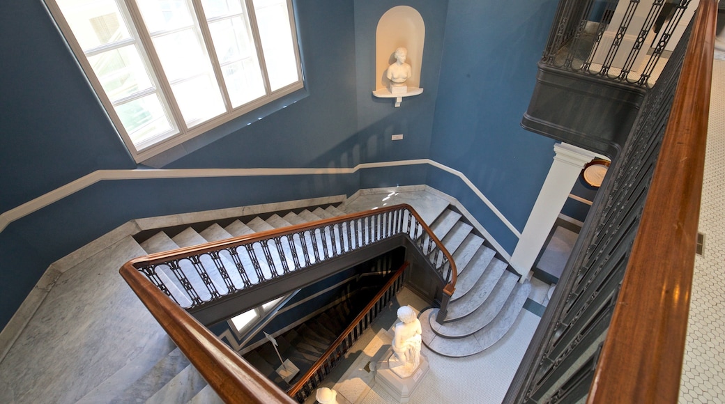 奥尔巴尼历史和艺术学院