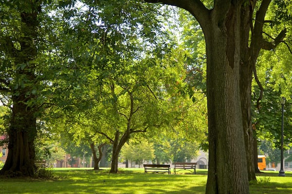 Washington Park mettant en vedette parc