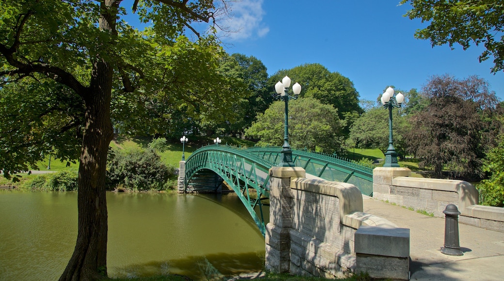 Washington Park which includes a river or creek and a bridge