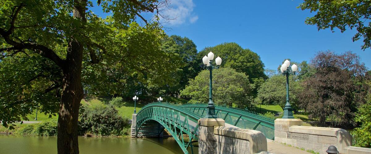 Washington Park featuring a river or creek and a bridge