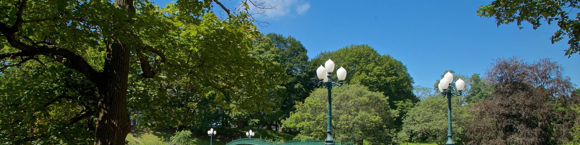 Washington Park showing a bridge and a river or creek