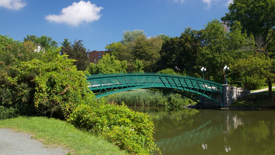 Washington Park showing a bridge and a river or creek