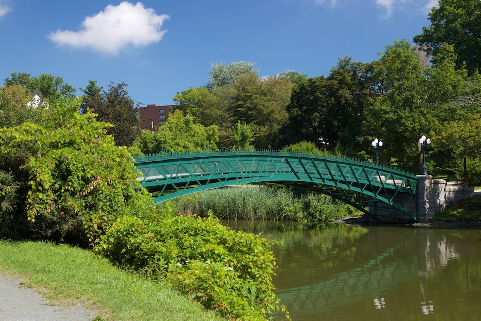 Un puente de metal verde sobre un río tranquilo, rodeado de exuberante vegetación y árboles.