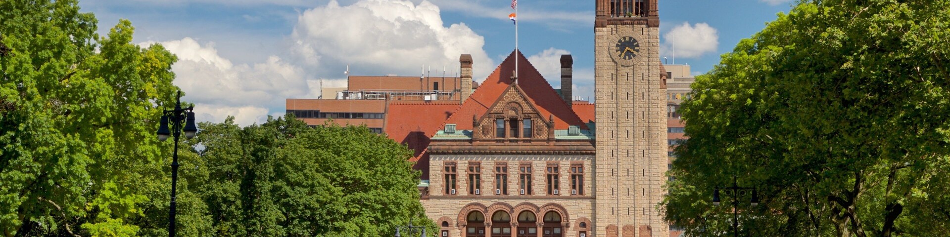 Albany City Hall showing heritage architecture
