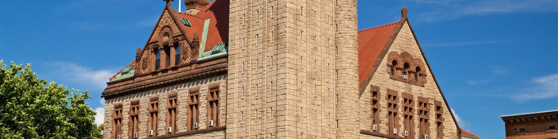 Albany City Hall que inclui arquitetura de patrimĂŽnio