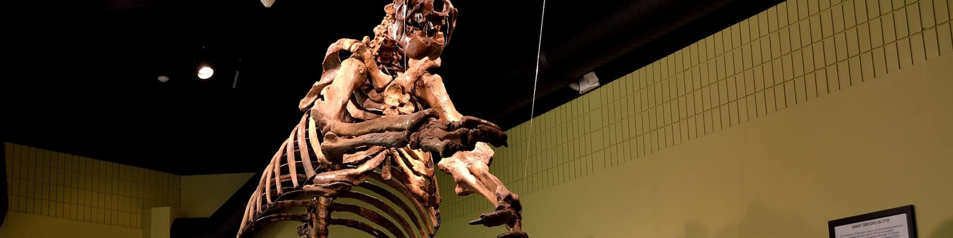 MOAS Museum of Arts and Sciences showing interior views