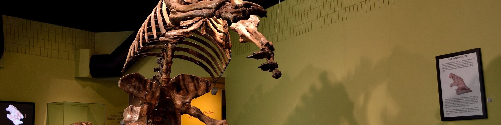 MOAS Museum of Arts and Sciences showing interior views