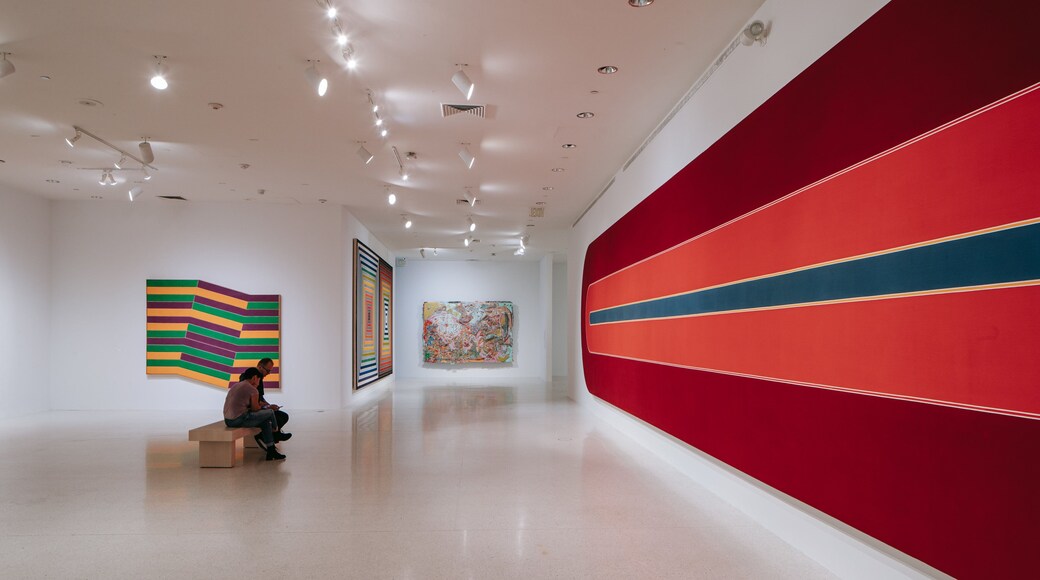 NSU Art Museum Fort Lauderdale which includes art and interior views