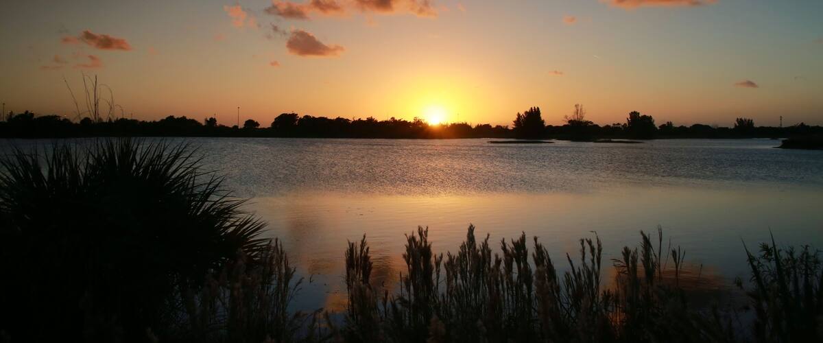 Golden Yellow Sunset on the Lake at Quiet Waters Park, Deerfield Beach, Florida with Foliage Below and a few Orange Scattered Clouds Above