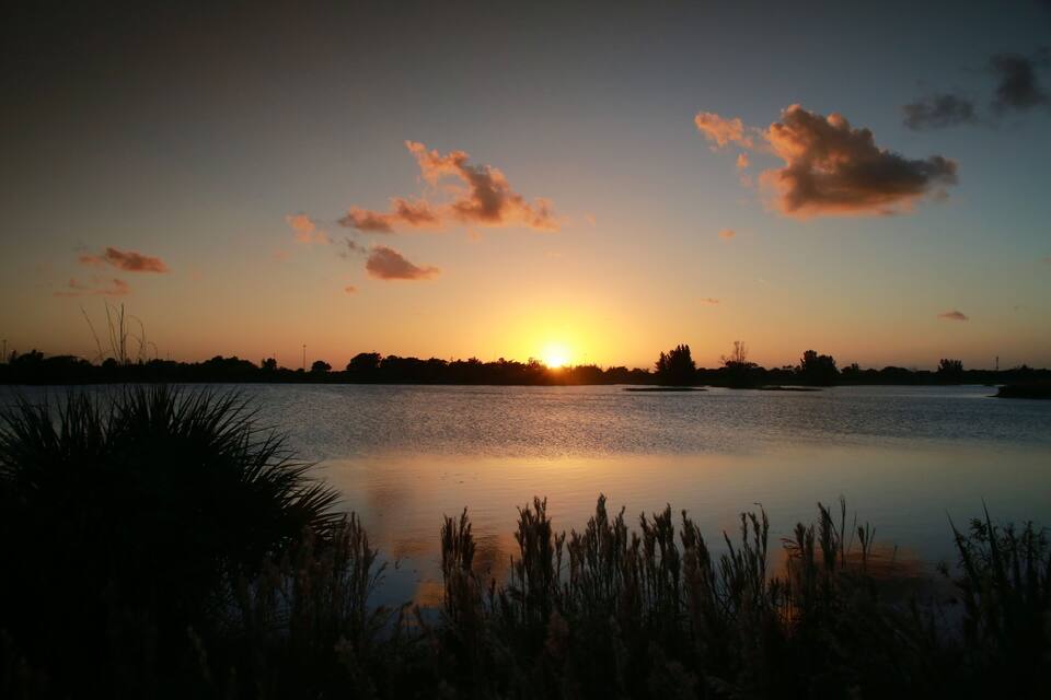 Un atardecer sobre un lago tranquilo, con siluetas de árboles y pastos en primer plano.