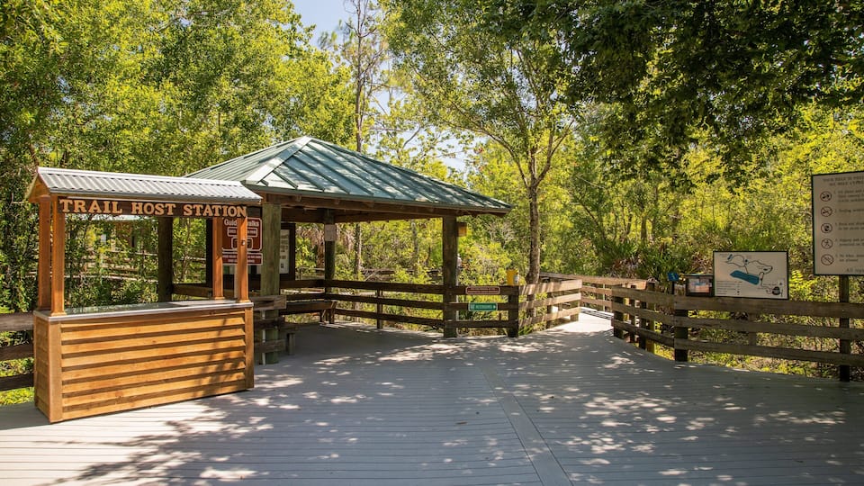 Six Mile Cypress Slough Preserve which includes forests