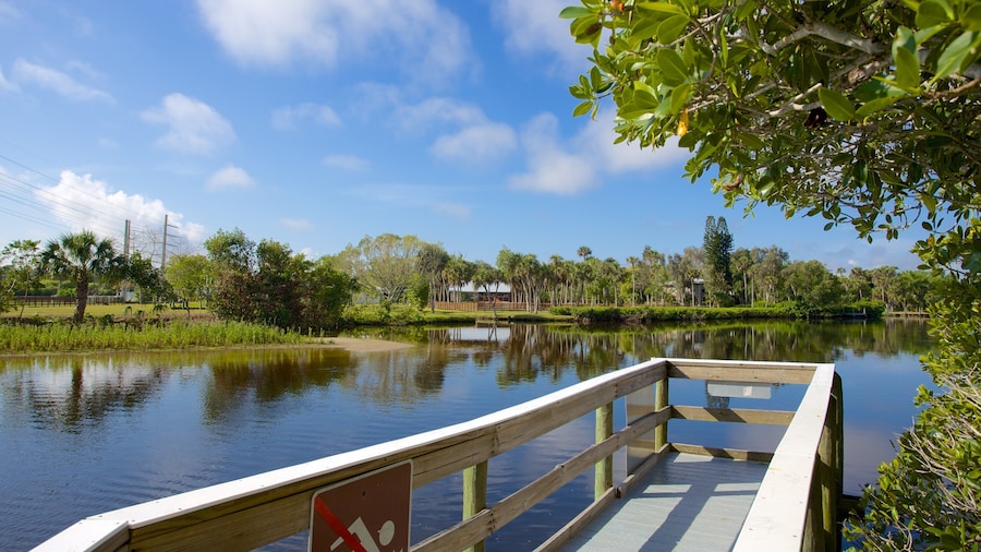 Manatee Park showing a garden and a lake or waterhole
