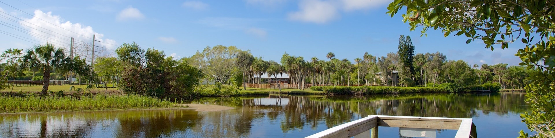 Manatee Park showing a garden and a lake or waterhole