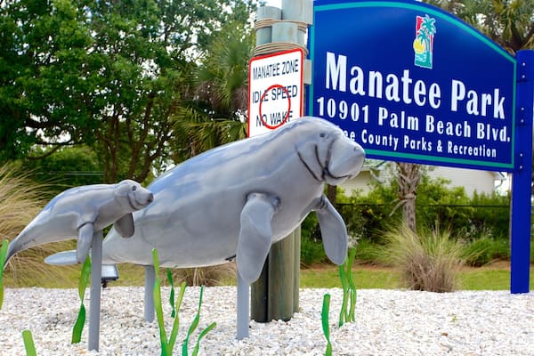 Manatee Park showing a garden and outdoor art