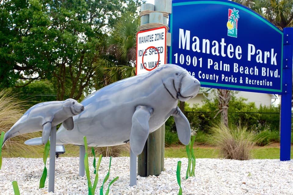 Een zeekoe-beeld in Manatee Park, met een bord waarop een zeekoegebied en vaarverbod staat aangegeven.