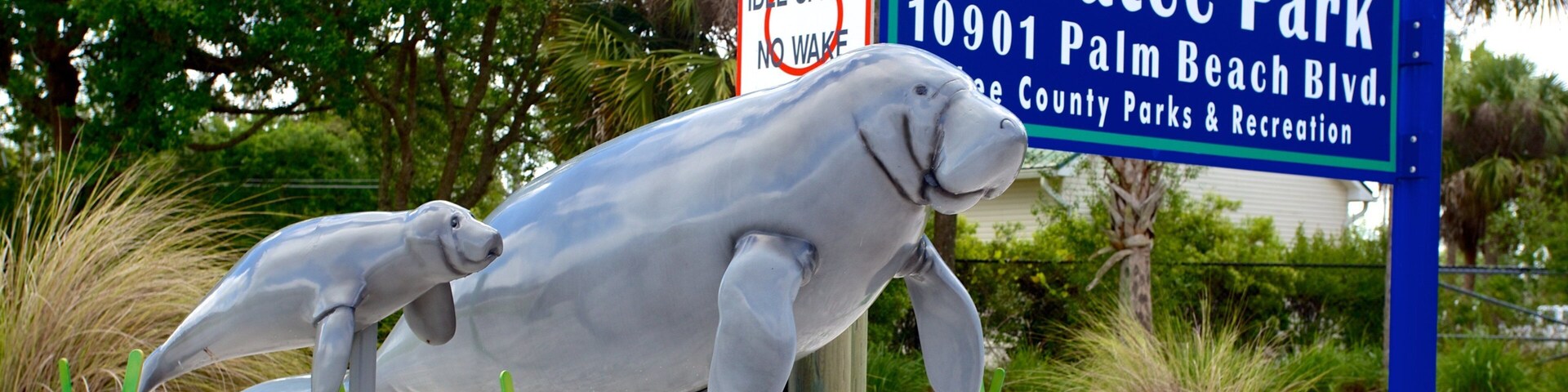 Manatee Park showing a garden and outdoor art