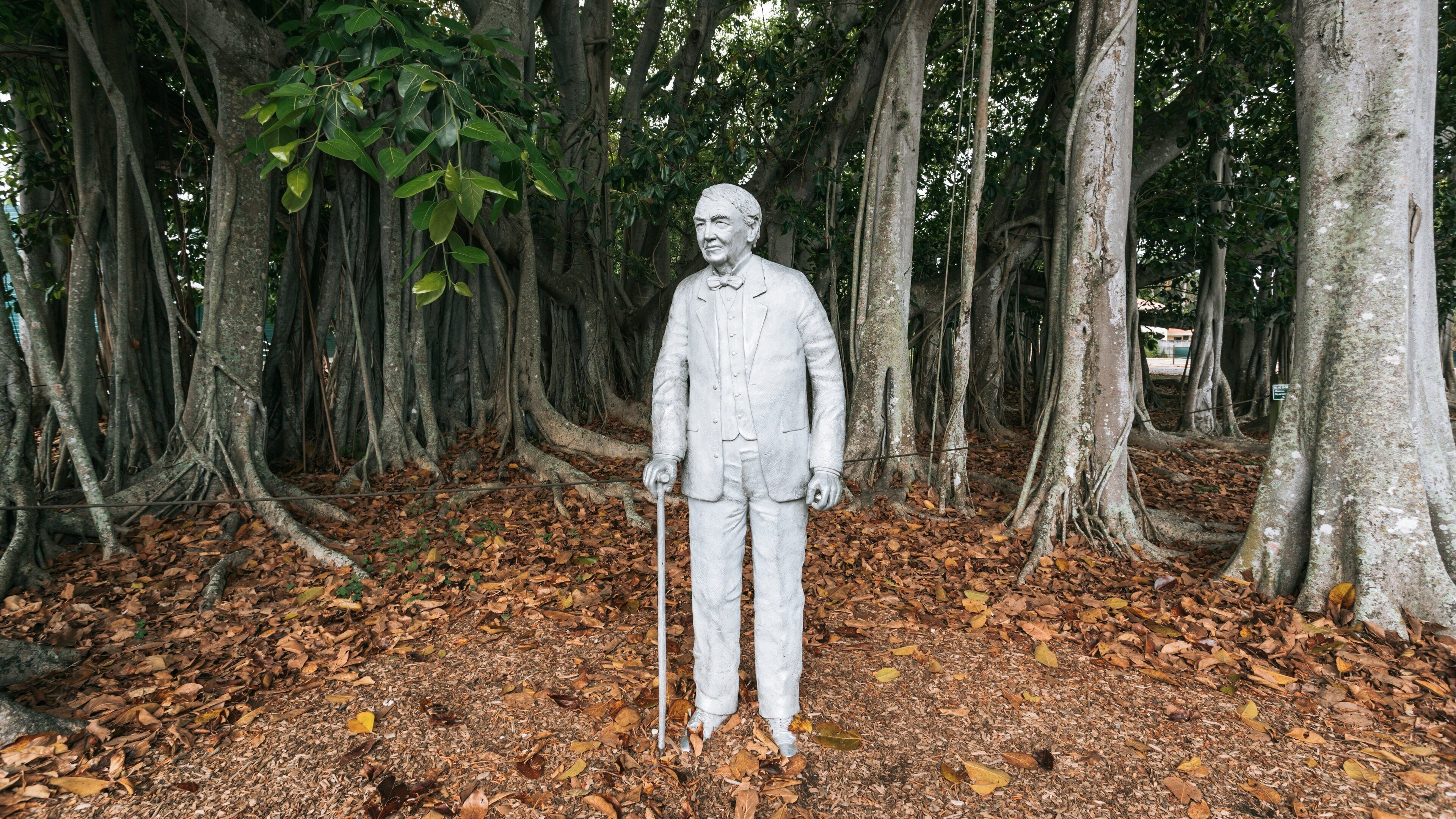 Edison and Ford Winter Estates which includes a statue or sculpture and a park