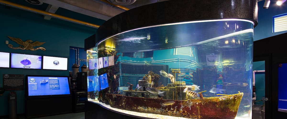 Imaginarium Hands - On Museum featuring interior views