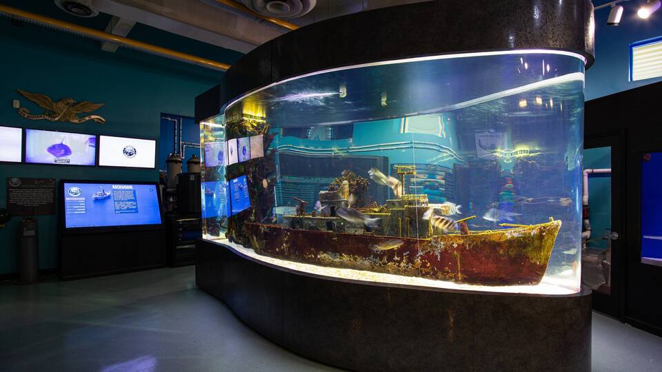 A large, curved aquarium display with a shipwreck inside.