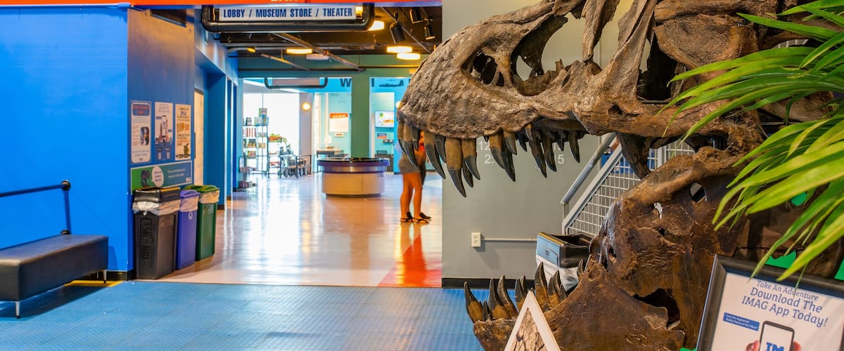Imaginarium Hands - On Museum showing heritage elements and interior views