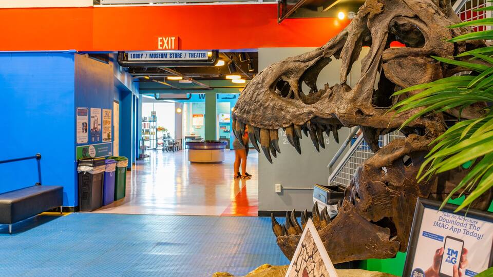 A dinosaur skeleton exhibit in a museum with an exit sign above.