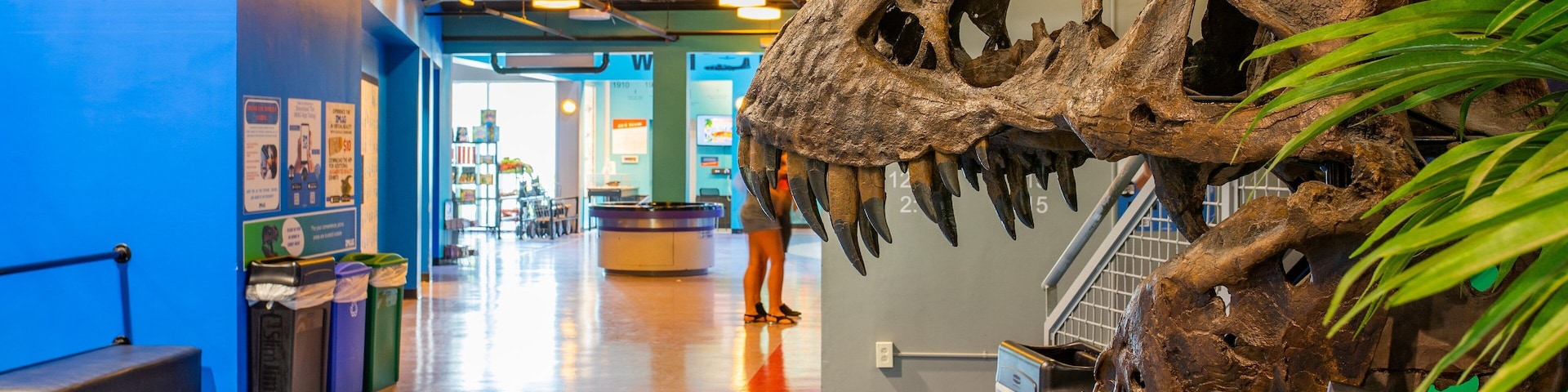 Imaginarium Hands - On Museum showing heritage elements and interior views