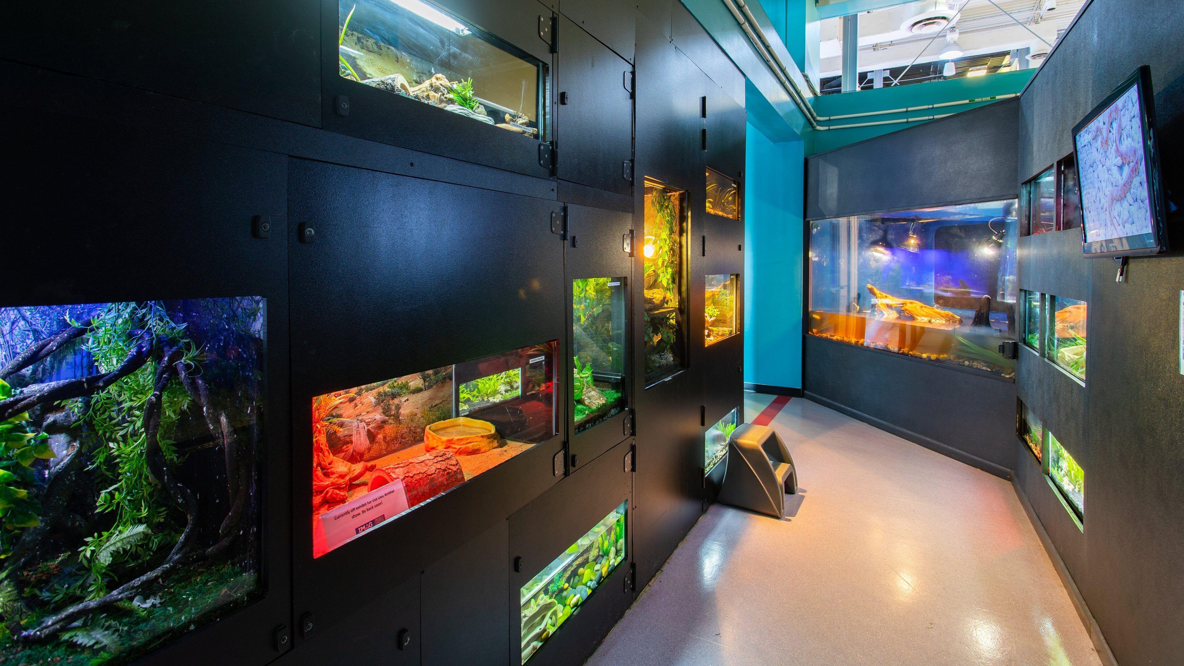 Imaginarium Hands - On Museum featuring marine life and interior views