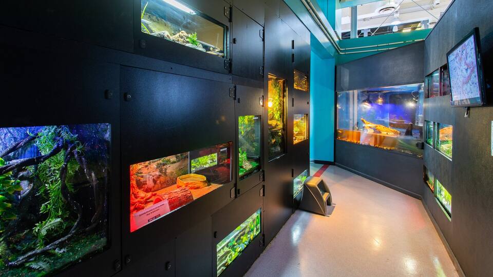 A corridor with multiple aquariums and digital displays.