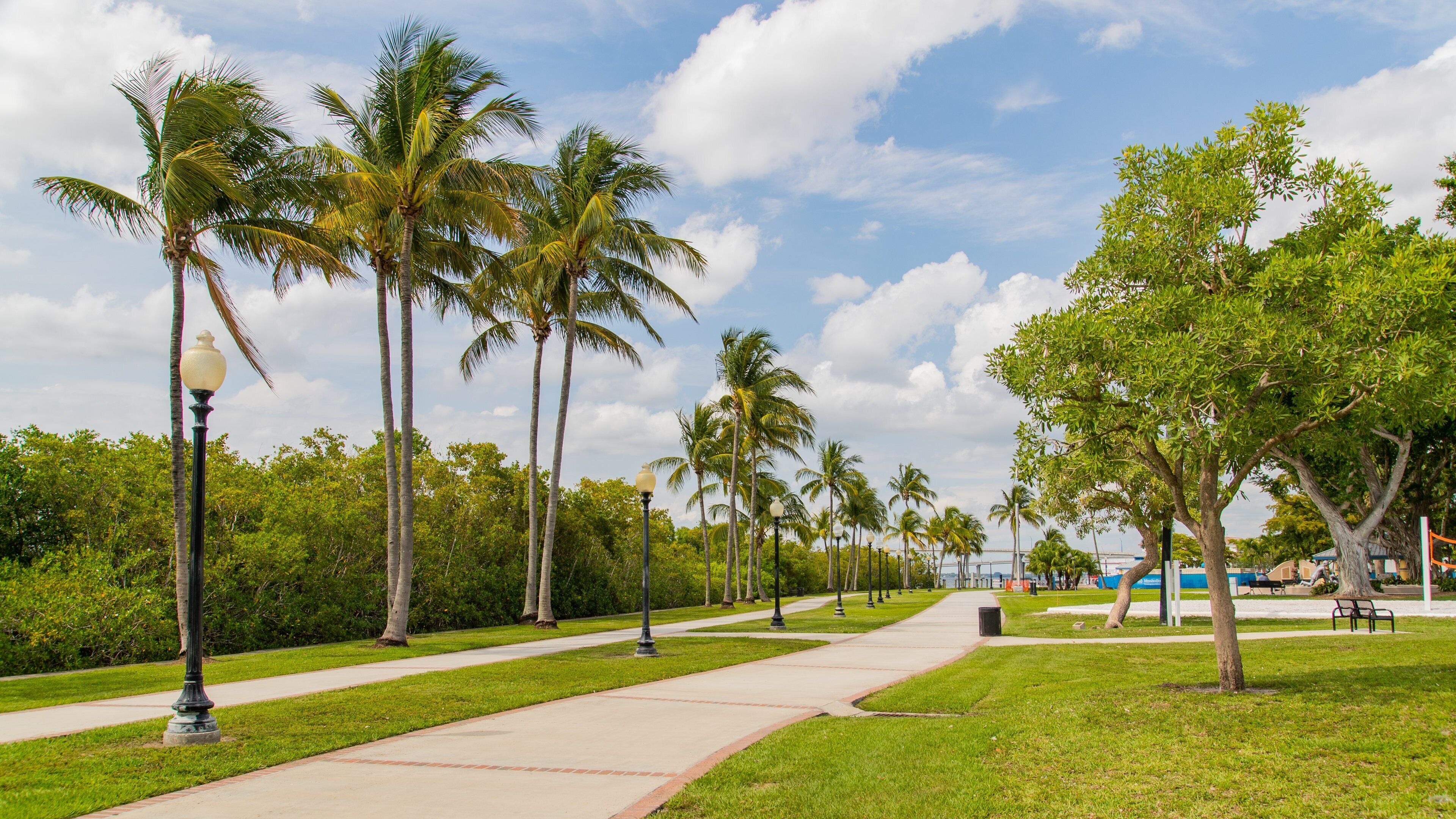 Centennial Park featuring a garden
