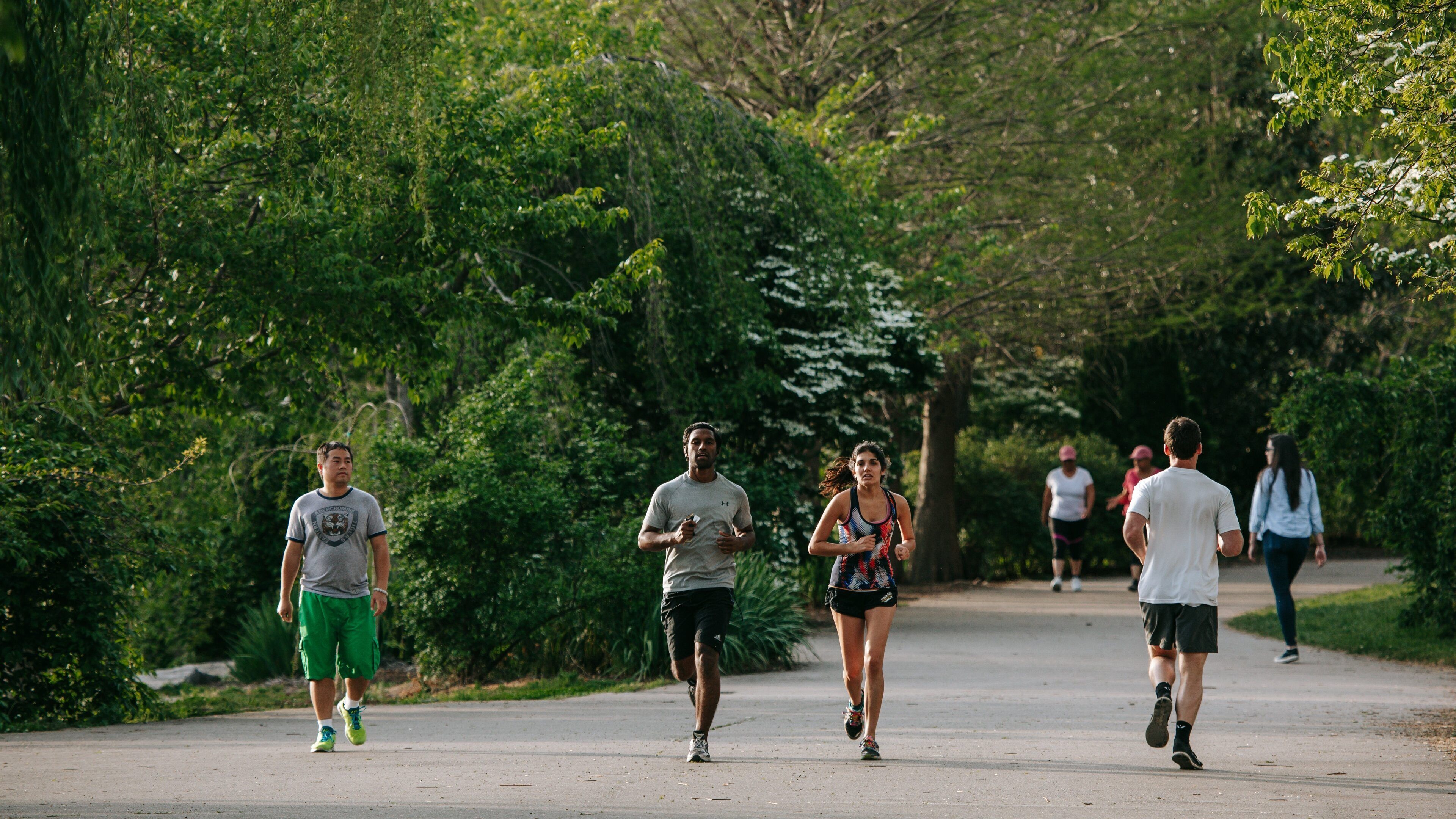 Centennial Park featuring hiking or walking and a garden as well as a couple