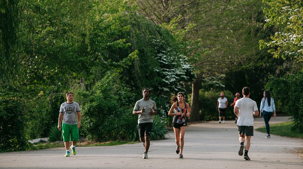 Centennial Park featuring hiking or walking and a garden as well as a couple