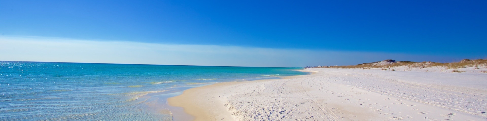 Grayton Beach State Park showing a beach
