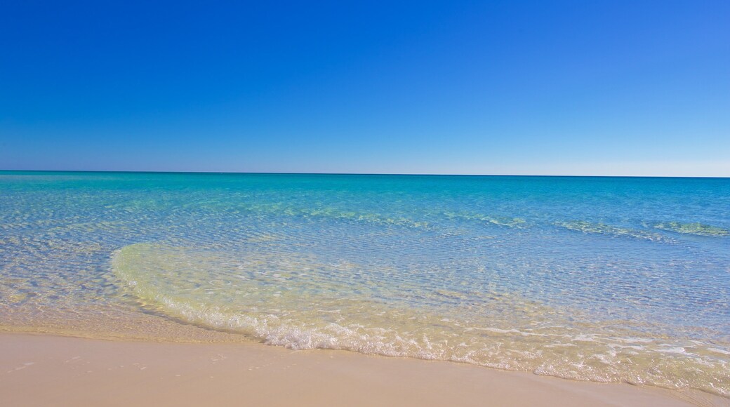 Grayton Beach que incluye una playa